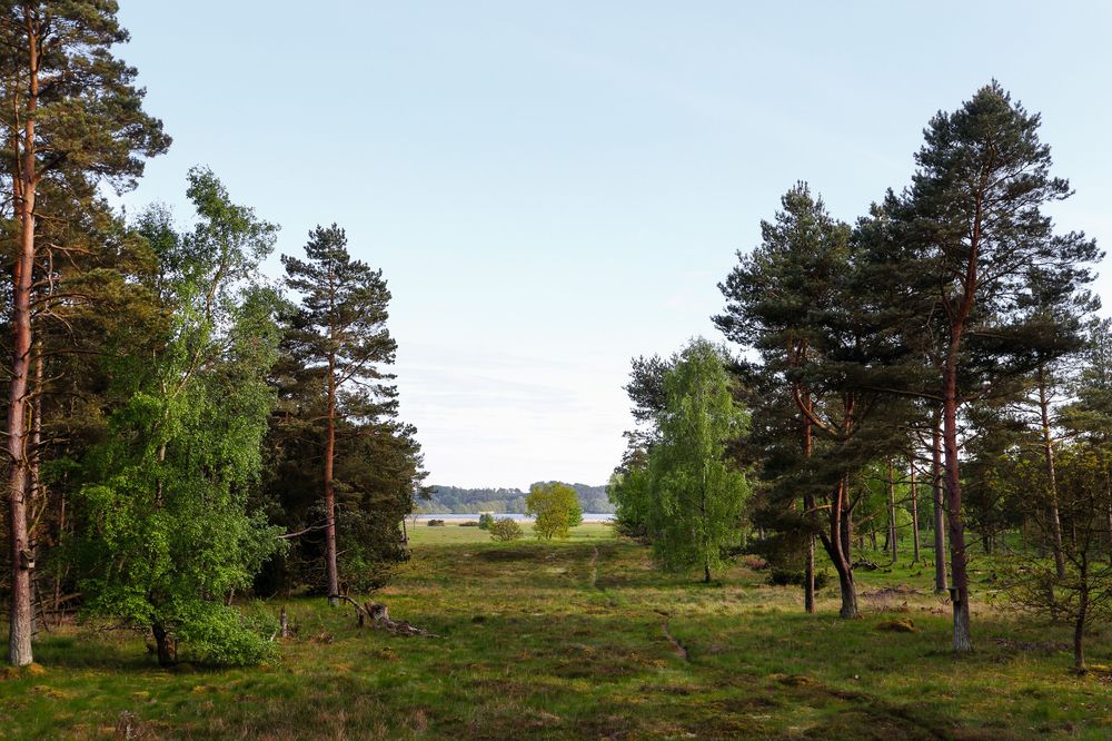 Fugleværnsfonden - Stubbe Sø