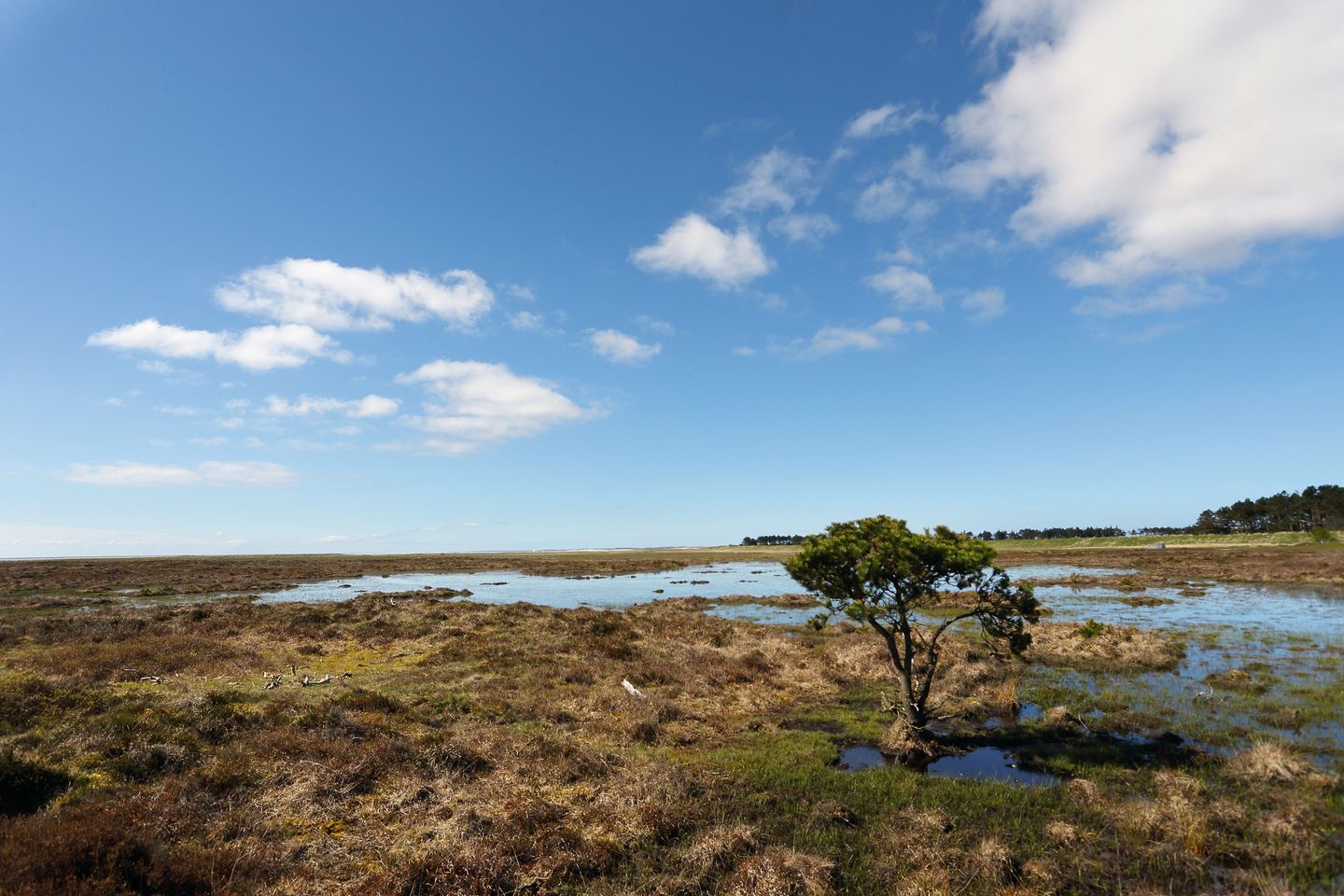 Naturreservatet Stormengene