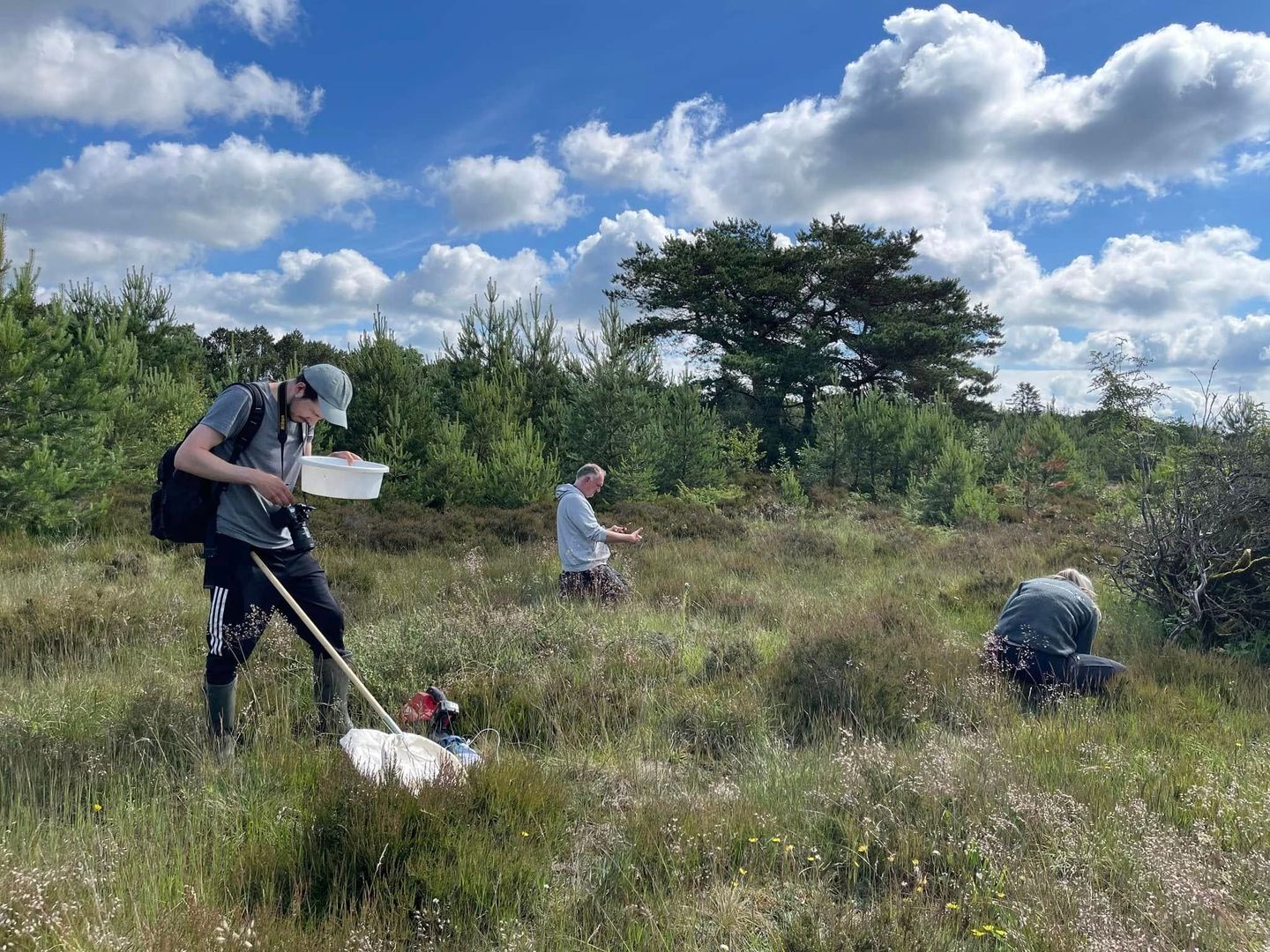 Bioblitz i Stoubæk Krat 2024
