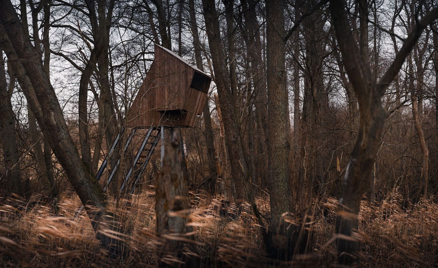 Trætop-Café i naturreservatet Barup Sø