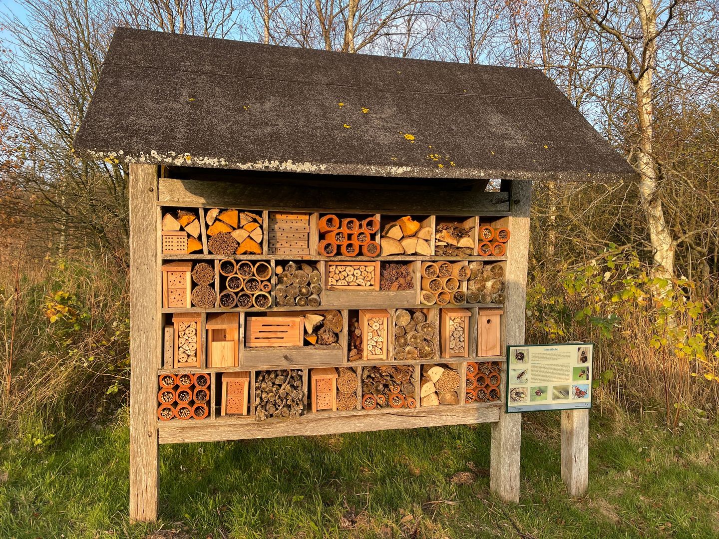 Insekthotel i naturreservatet Sølsted Mose